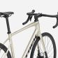TREK Domane AL 2 Gen 4