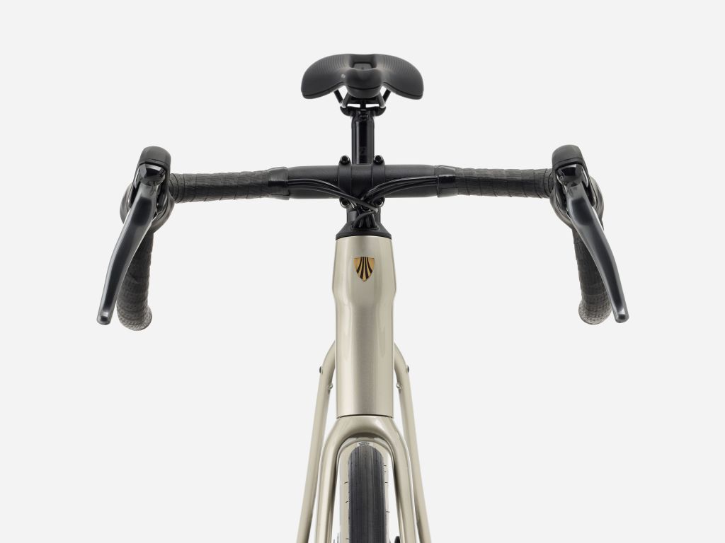 TREK Domane AL 2 Gen 4