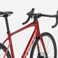 TREK Domane AL 2 Gen 4