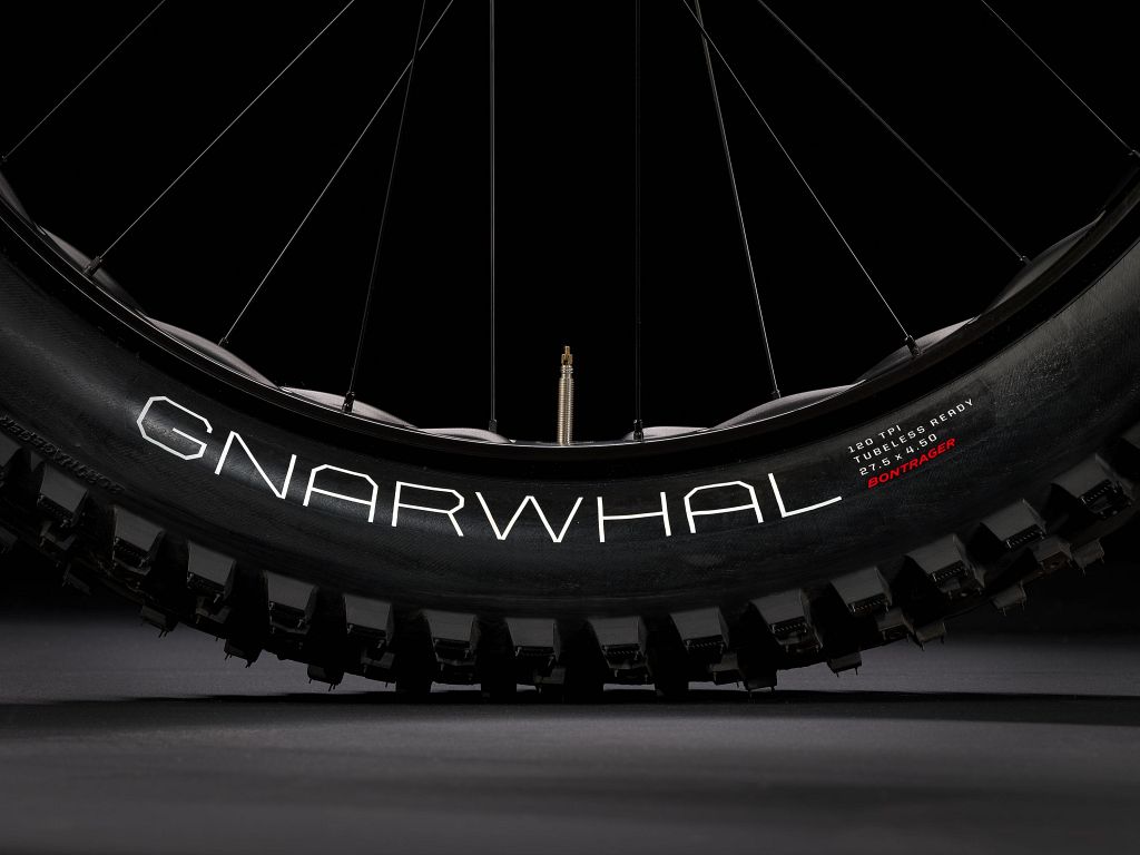 TREK Farley 5
