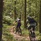 Abus MoDrop MTB cykelhjelm - Pine Green