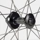 Bontrager Aeolus RSL 37V TLR Disc hjulsæt til gravelbike