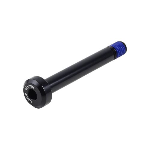 Trek Rear suspension bolt M8 x 1,25 x 54 mm